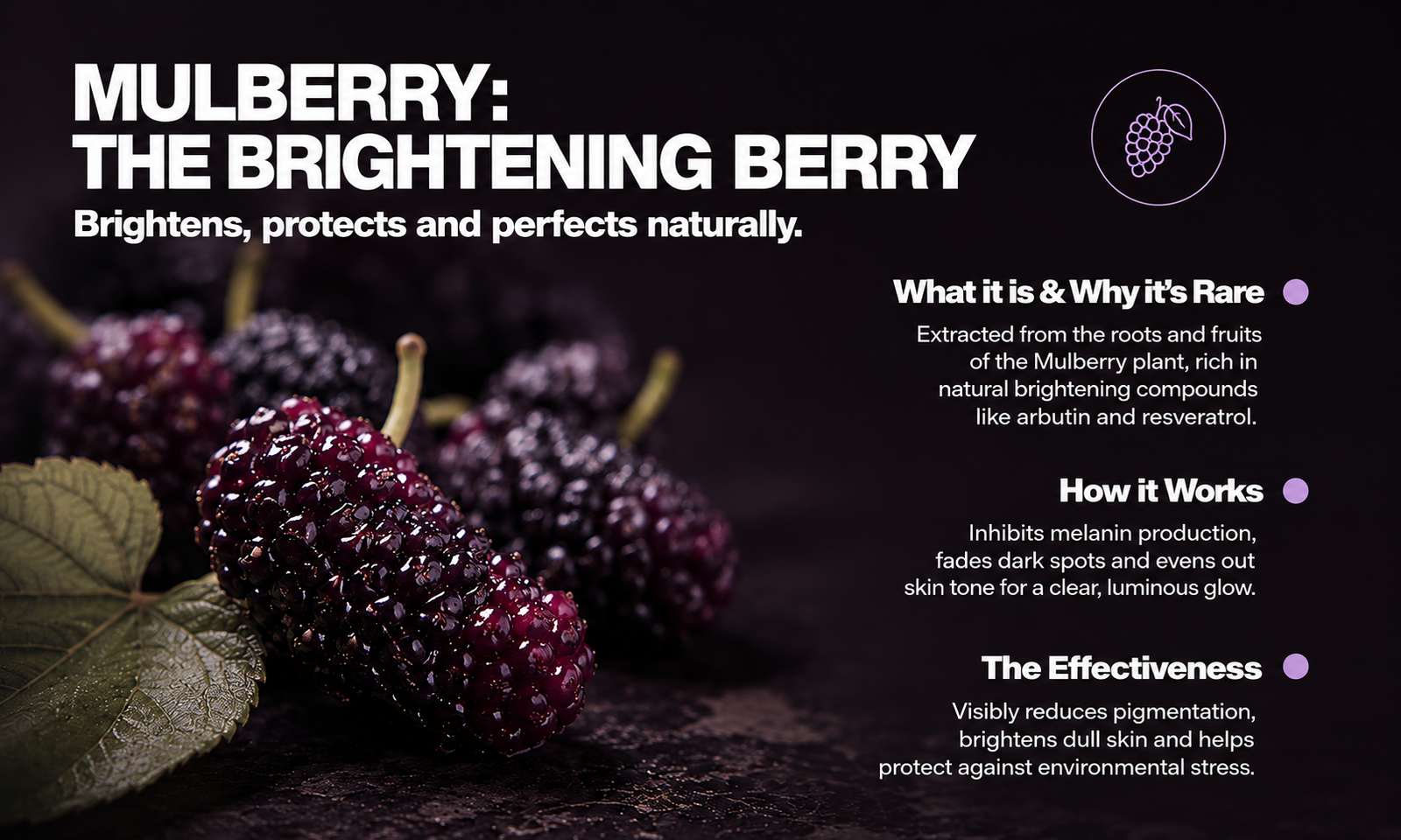 Mulberry — The Brightening Berry Nature Engineered 